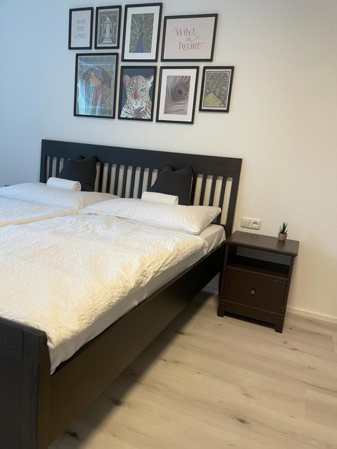 Xiapartment Höchst Esterno foto